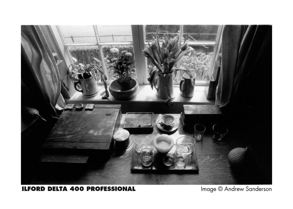 Ilford Delta 400 Professional Black & White Film (135/36)