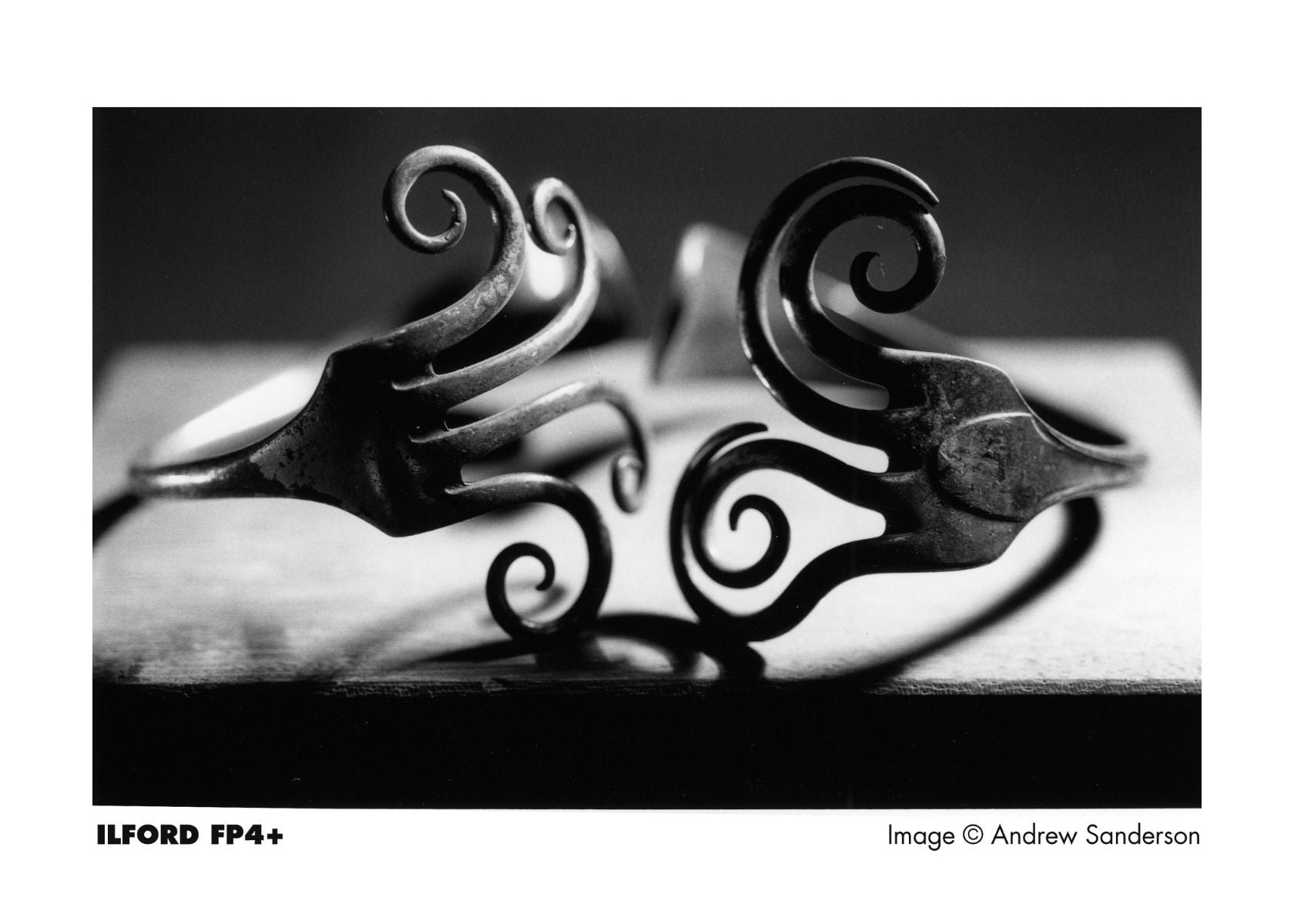 Ilford FP4 Plus 125 Black & White Film (135/36)