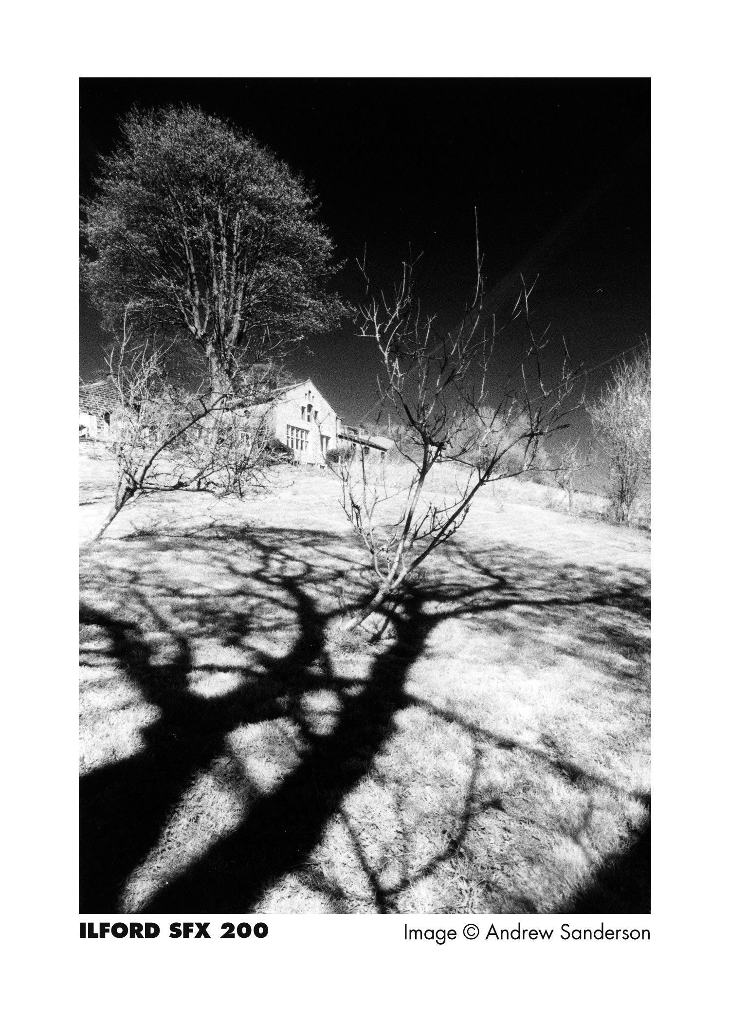 Ilford SFX 200 Near-Infrared Black & White Film (135/36)